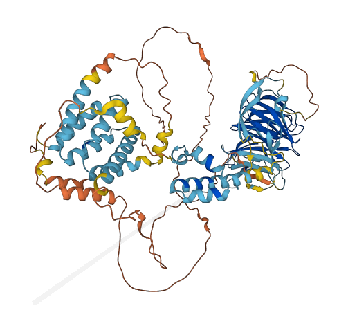 CDRT1 3D structure