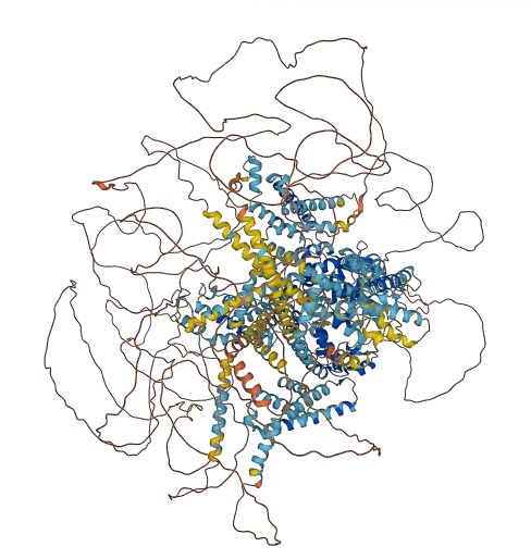CACNA1H 3D structure
