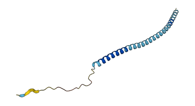 VAMP5 3D structure