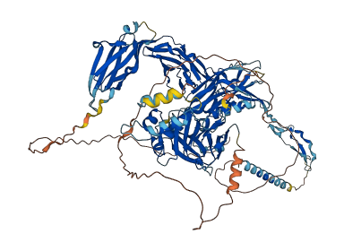 UNC5C 3D structure