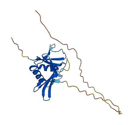 OAZ2 3D structure