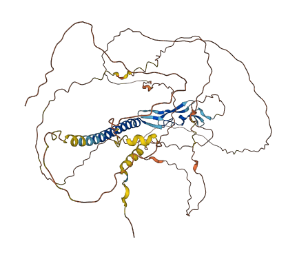CSPG5 3D structure