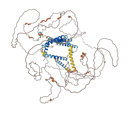 RTN3 3D structure