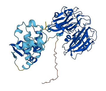 RCBTB2 3D structure