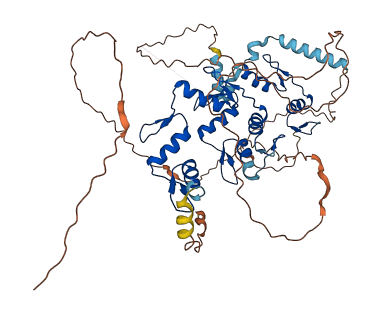 ZNF205 3D structure
