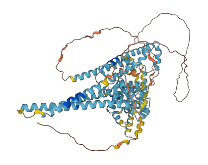 LETM1 3D structure