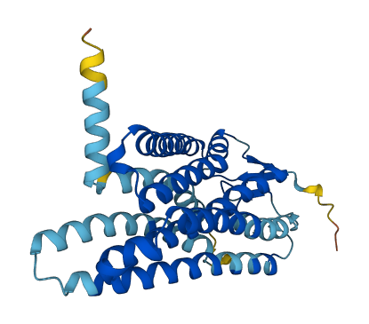 OR5F1 3D structure
