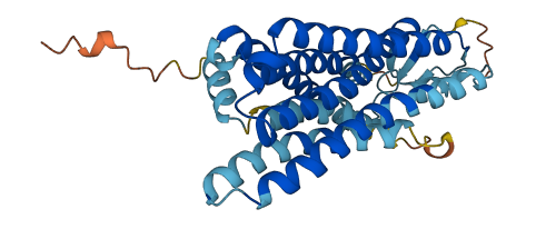OR6A2 3D structure