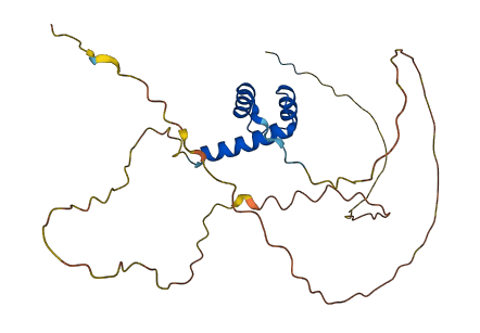 VENTX 3D structure