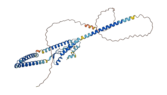 LUC7L3 3D structure
