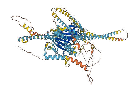 KIF20A 3D structure