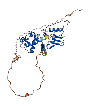SPDEF 3D structure