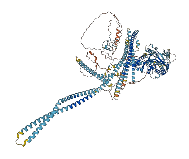 KIF4A 3D structure