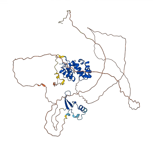 MBD4 3D structure