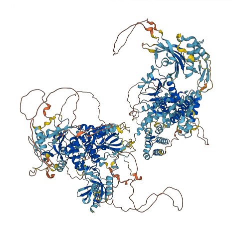 SBF1 3D structure