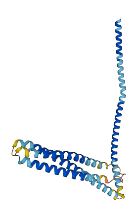GOSR1 3D structure