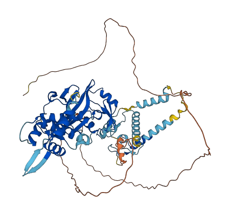 KAT7 3D structure
