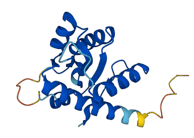 GADD45G 3D structure