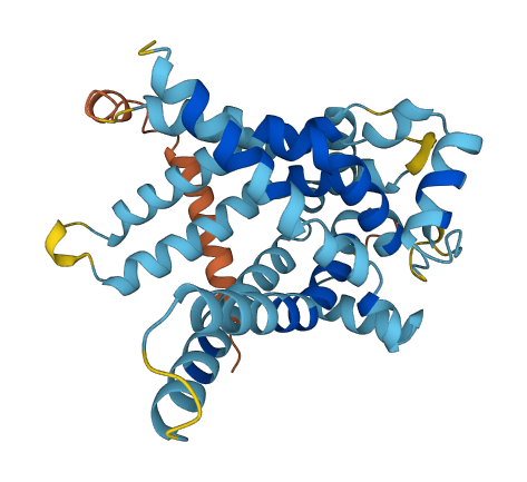 SLC25A14 3D structure