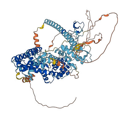 RASGRP1 3D structure