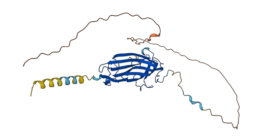 LYPD3 3D structure