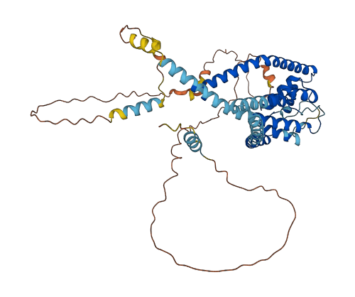 KCNK5 3D structure