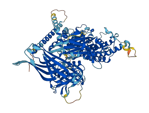 RASAL1 3D structure