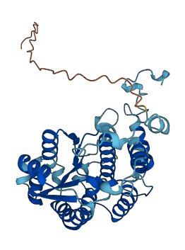 NDUFA10 3D structure