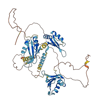 CELF2 3D structure