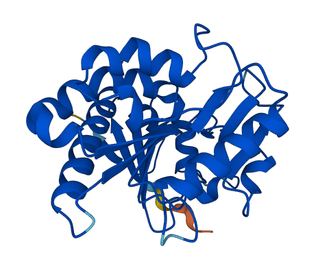 PGLS 3D structure