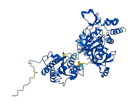 PAPSS2 3D structure