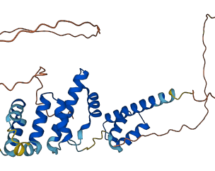 SIX3 3D structure