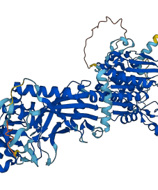 ATG7 3D structure