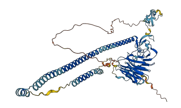 TRIM16 3D structure
