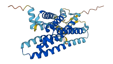 OR2C1 3D structure