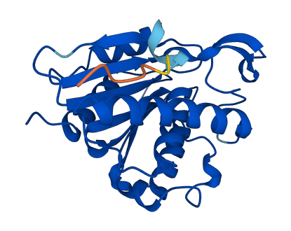 LYPLA2 3D structure