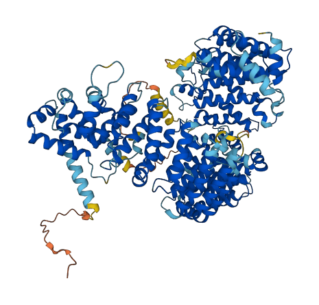 IPO7 3D structure