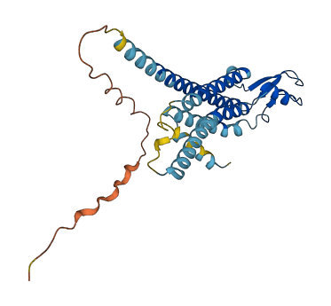 GJB5 3D structure