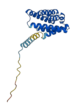 TNFAIP8 3D structure