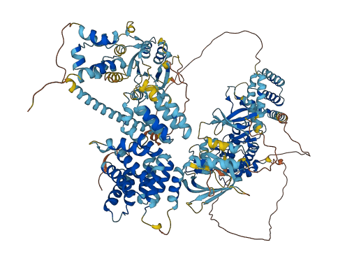 MAP3K6 3D structure