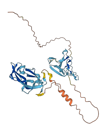 CCN6 3D structure
