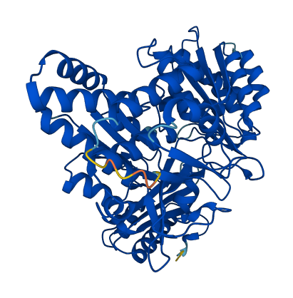 PGM3 3D structure