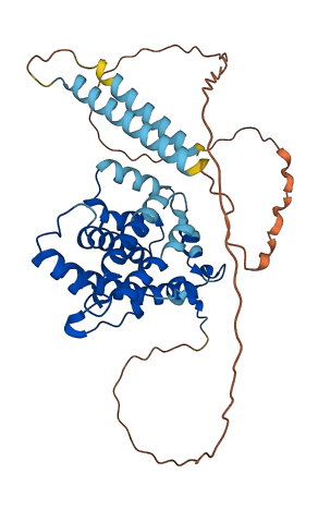 PLEKHA8P1 3D structure