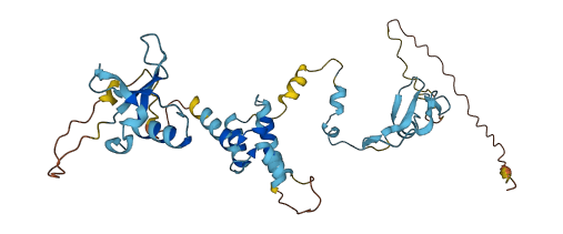 CD2BP2 3D structure