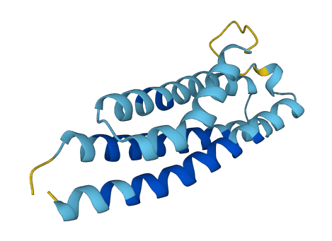 CNIH1 3D structure