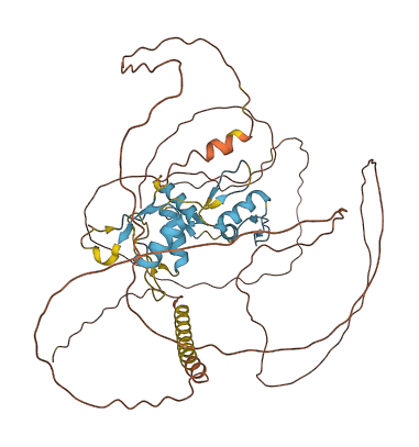 ZIC2 3D structure