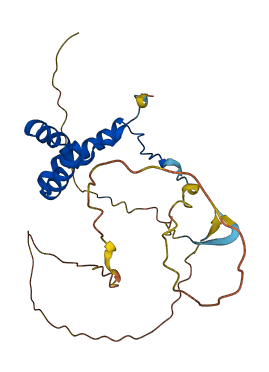 SOX14 3D structure