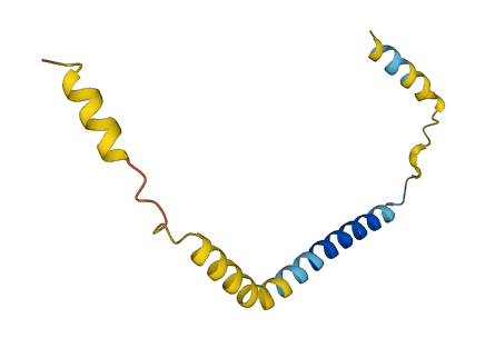 DEXI 3D structure