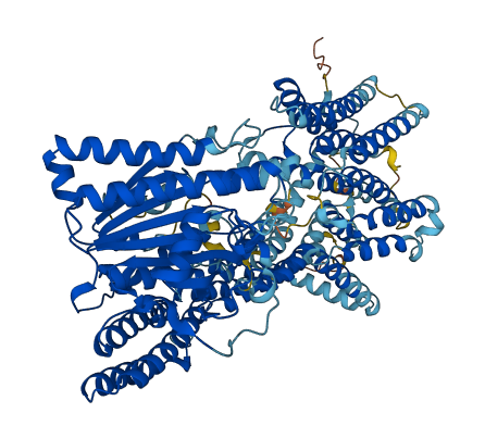 PIGN 3D structure