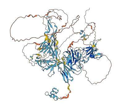 PAPLN 3D structure
